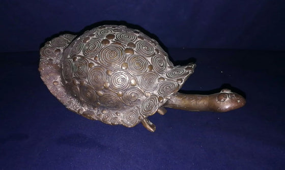 Tortuga