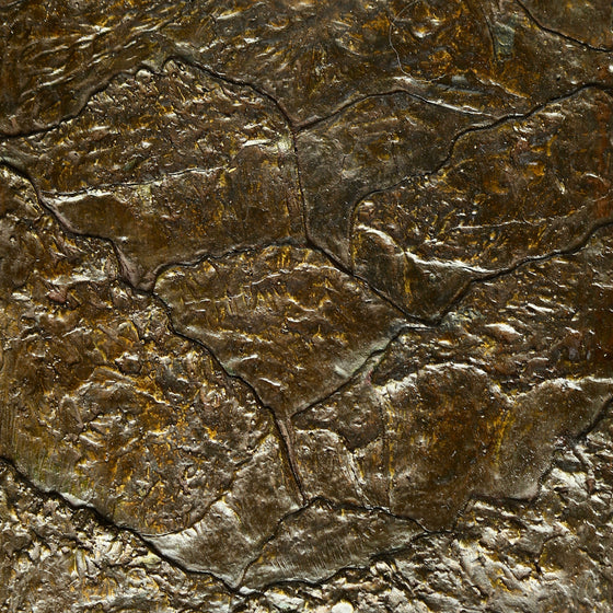 Placa de Bronce -  Nicolas Moreno